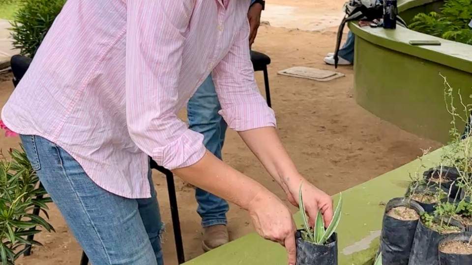 Gobierno de Sonora impulsa reforestación urbana con donación gratuita de plantas